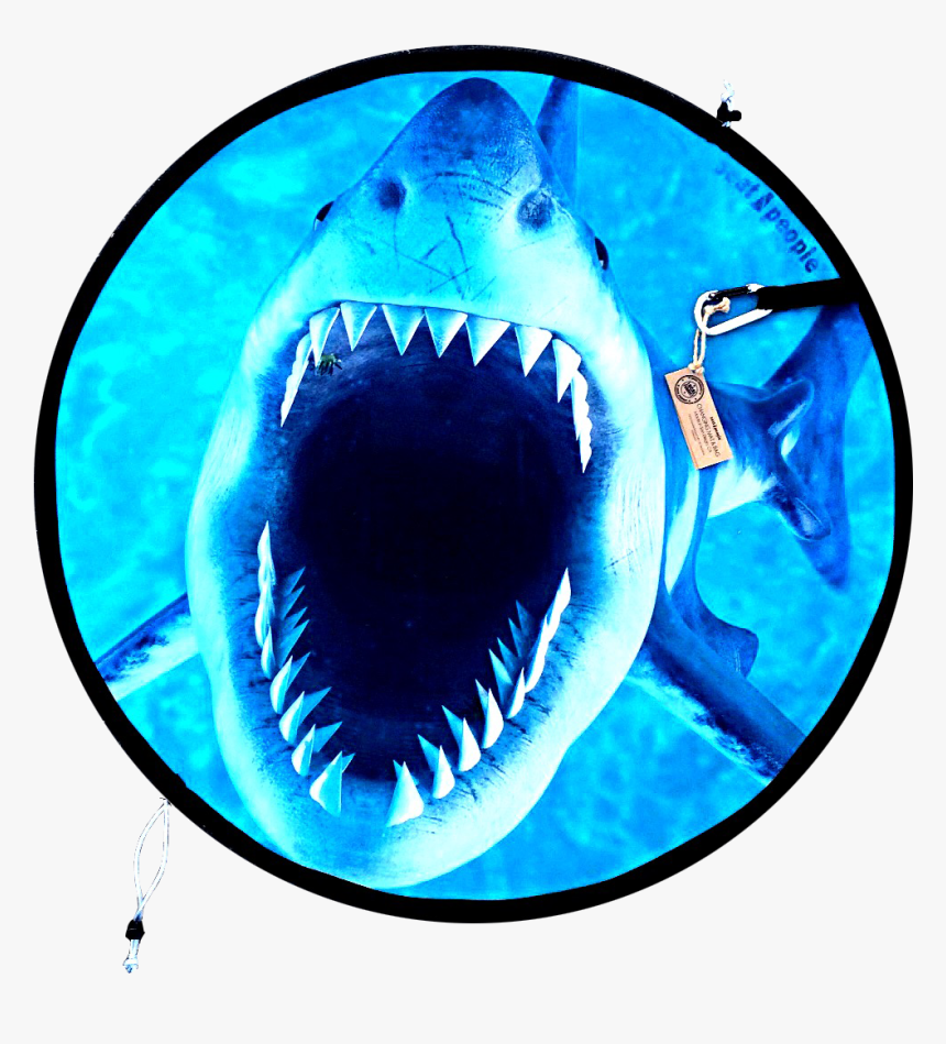 Transparent Jaws Png - Great White Shark, Png Download, Free Download