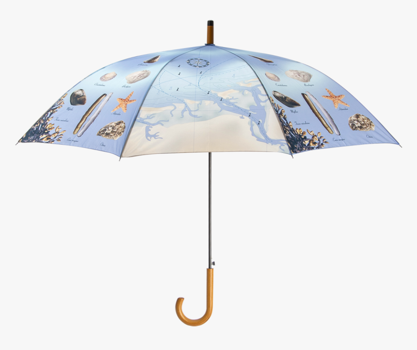 Beach Umbrella - Umbrella, HD Png Download, Free Download
