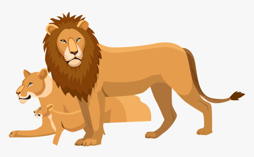 African Lion Cartoon, HD Png Download, Free Download