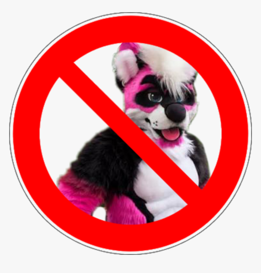 #prohibido Furros - Border Collie, HD Png Download, Free Download