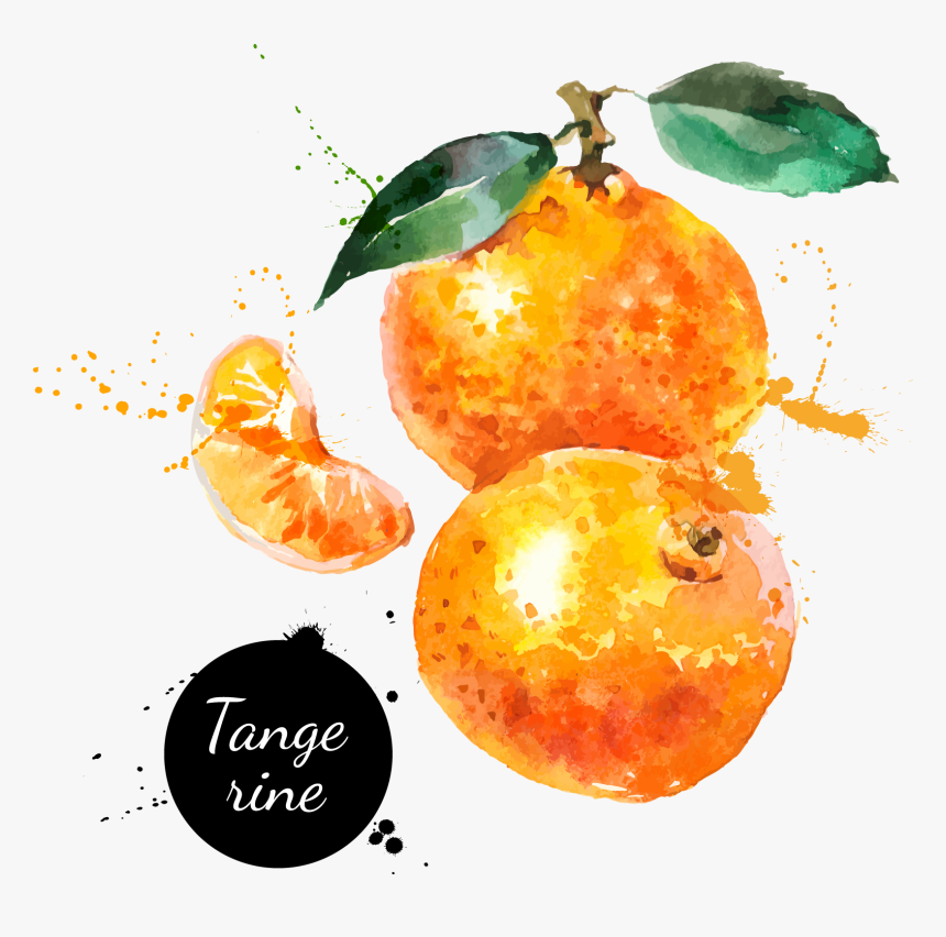 Watercolor Painting Hand Painted Handpainted Oranges - Watercolor Orange Fruit Transparent Background, HD Png Download, Free Download