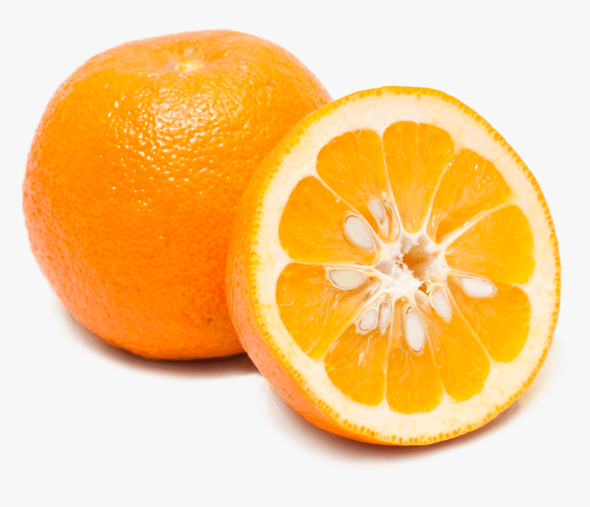 Making Sour Orange Pie Without Sour Oranges Required - Sour Orange Pie Transparent, HD Png Download, Free Download