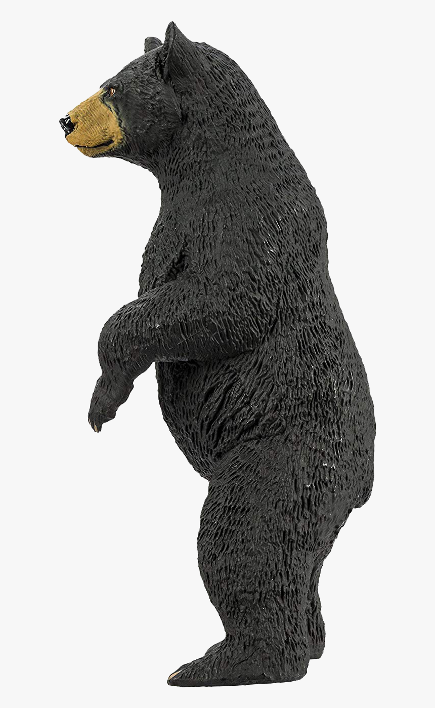 American Black Bear Png Photo - American Black Bear, Transparent Png, Free Download