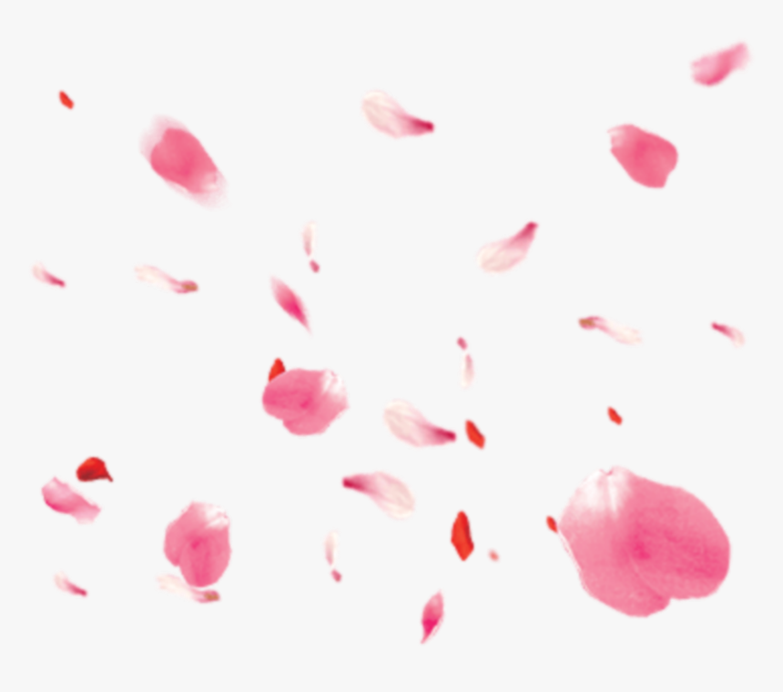 #petals #roses - Pink Rose Petals Png, Transparent Png, Free Download