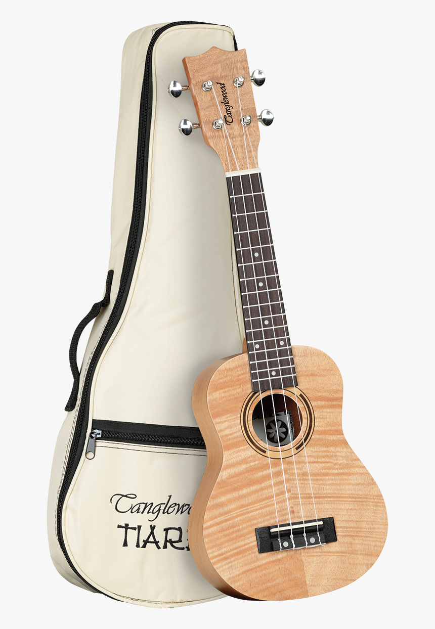 Ukulele, HD Png Download, Free Download