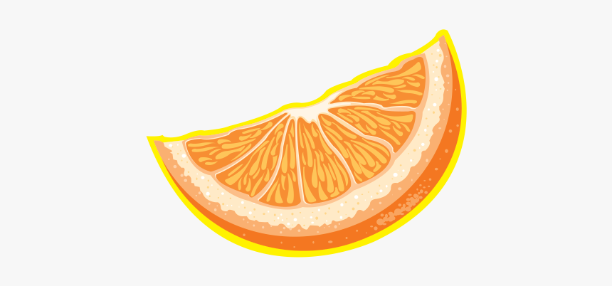 Orange Slice - Orange Fruit Stickers Transparent, HD Png Download, Free Download