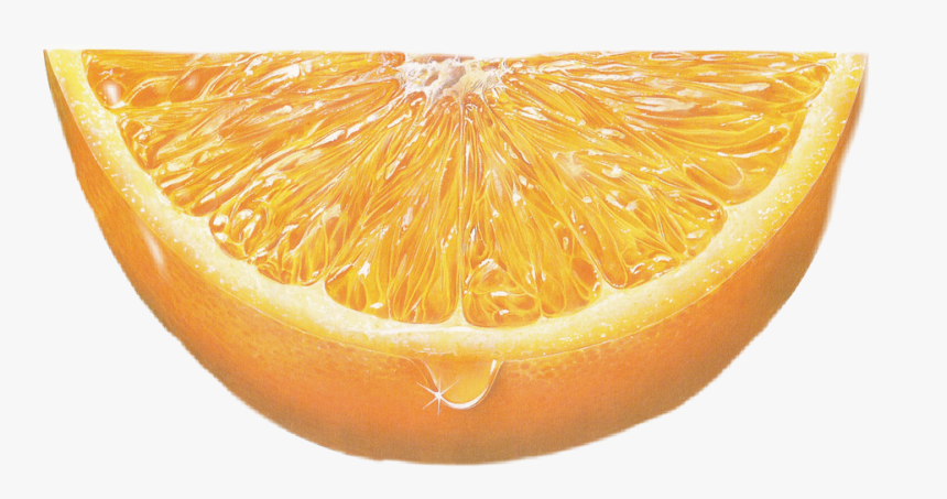 #fruit #orange #slice #orangeslice - Sadahito Mori, HD Png Download, Free Download