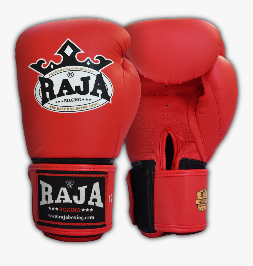 Boxing Ring Png, Transparent Png, Free Download
