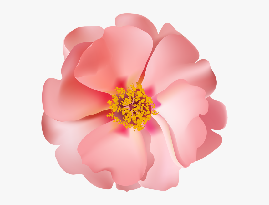 Rosebush Flower Png Clip - Bush Pink Flower Png, Transparent Png, Free Download