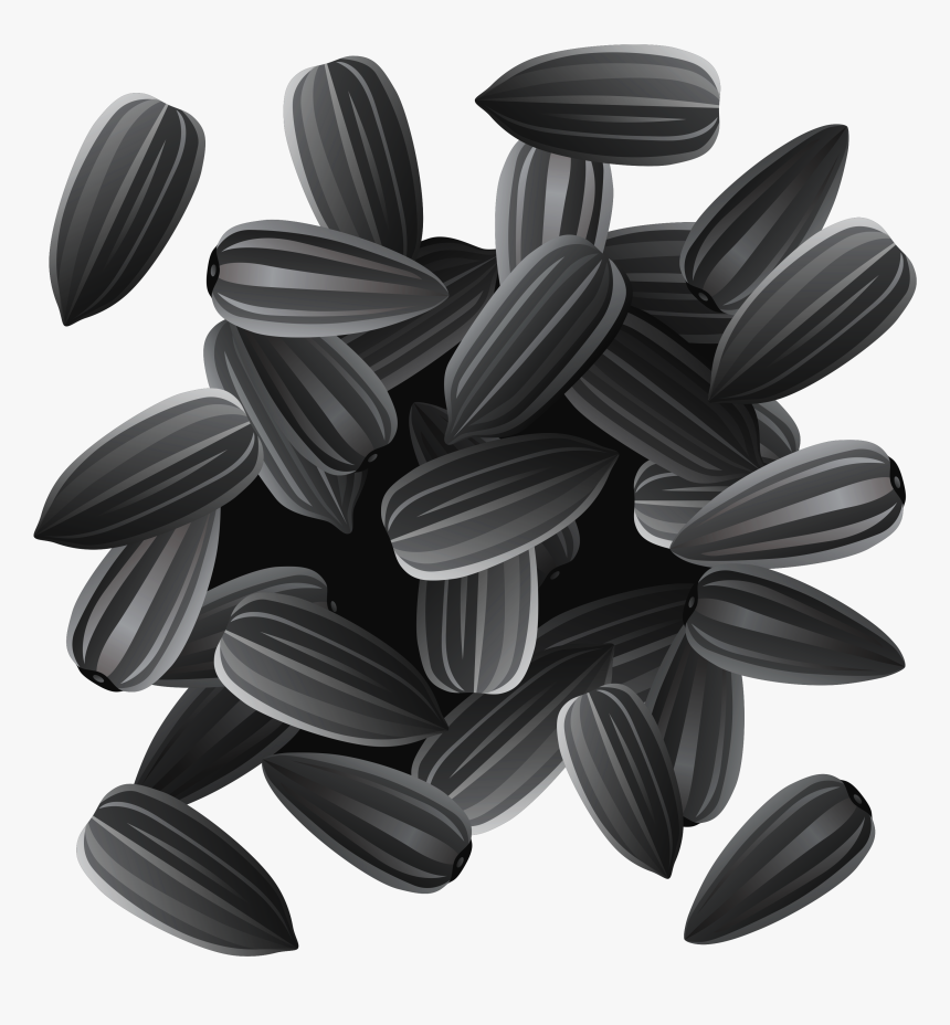 Sunflower Seed Png - Sunflower Seeds Clipart, Transparent Png, Free Download