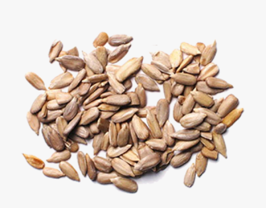 Sunflower Seeds Png Image - Sunflower Seed Transparent Png, Png Download, Free Download