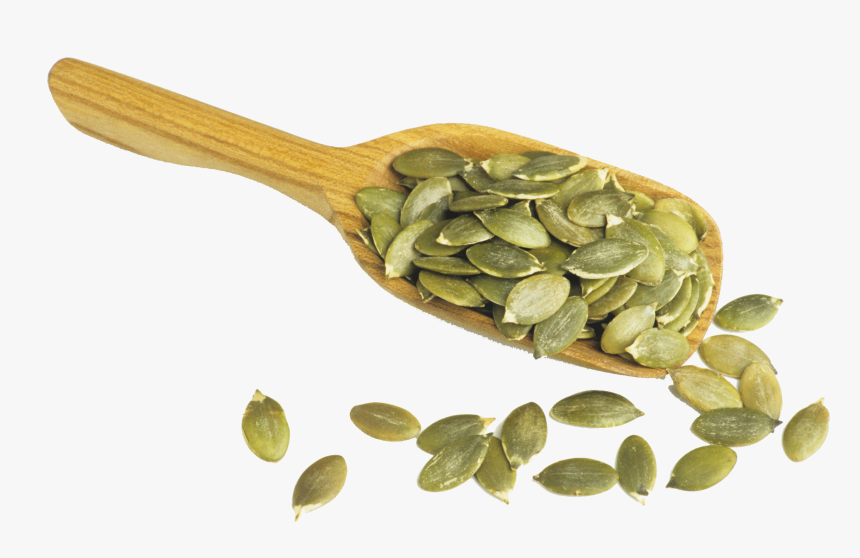 Transparent Pumpkin Seed Clipart - Pumpkin Seeds Png Transparent, Png Download, Free Download