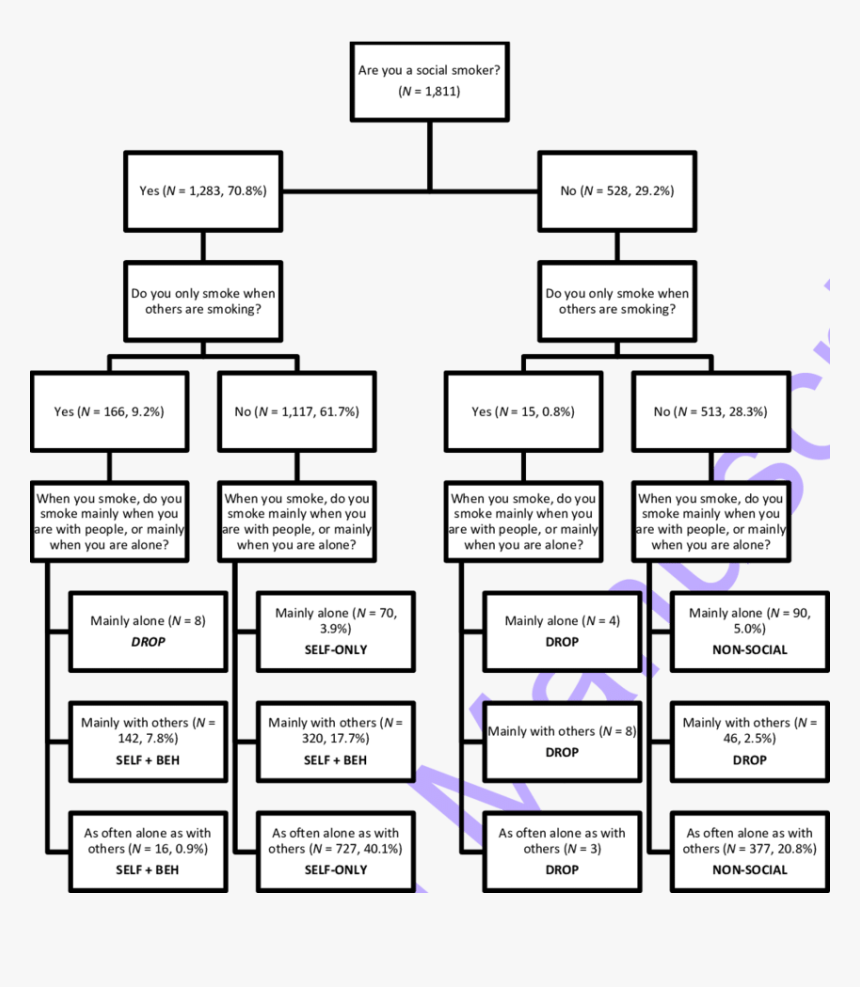 Should I Smoke Flowchart, HD Png Download, Free Download