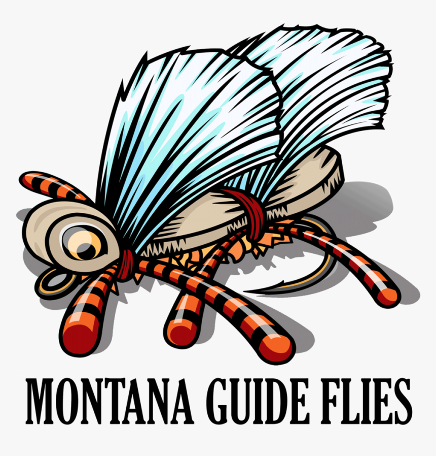 Bug, HD Png Download, Free Download