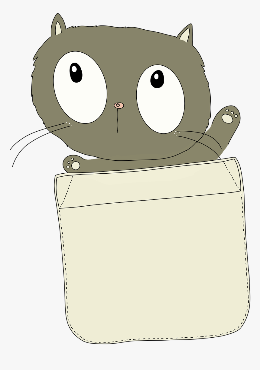 Cat, HD Png Download, Free Download