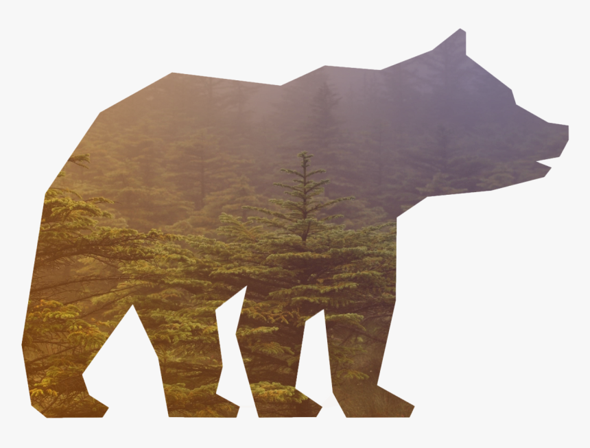 Maco Les Krajsi Gradinet - Grizzly Bear, HD Png Download, Free Download