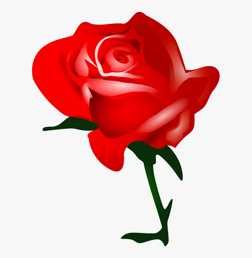 Red Rose Clipart - Cartoon Red Rose, HD Png Download, Free Download