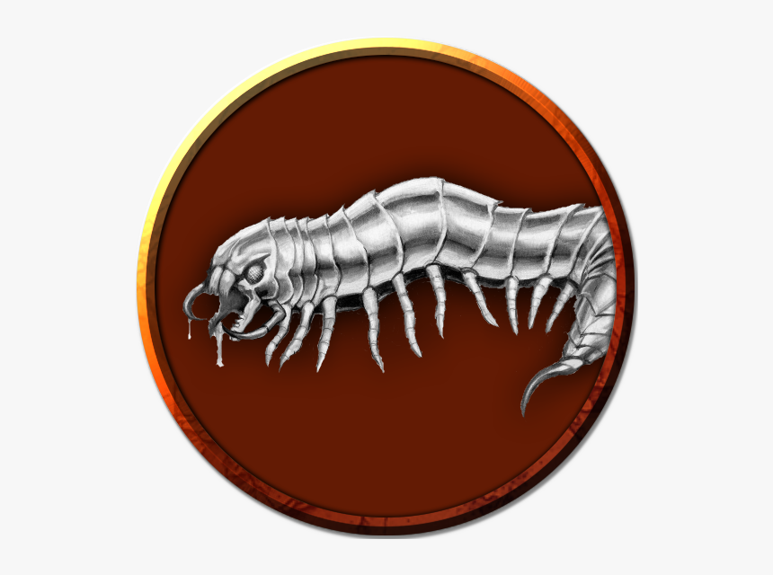 Millipedes, HD Png Download, Free Download