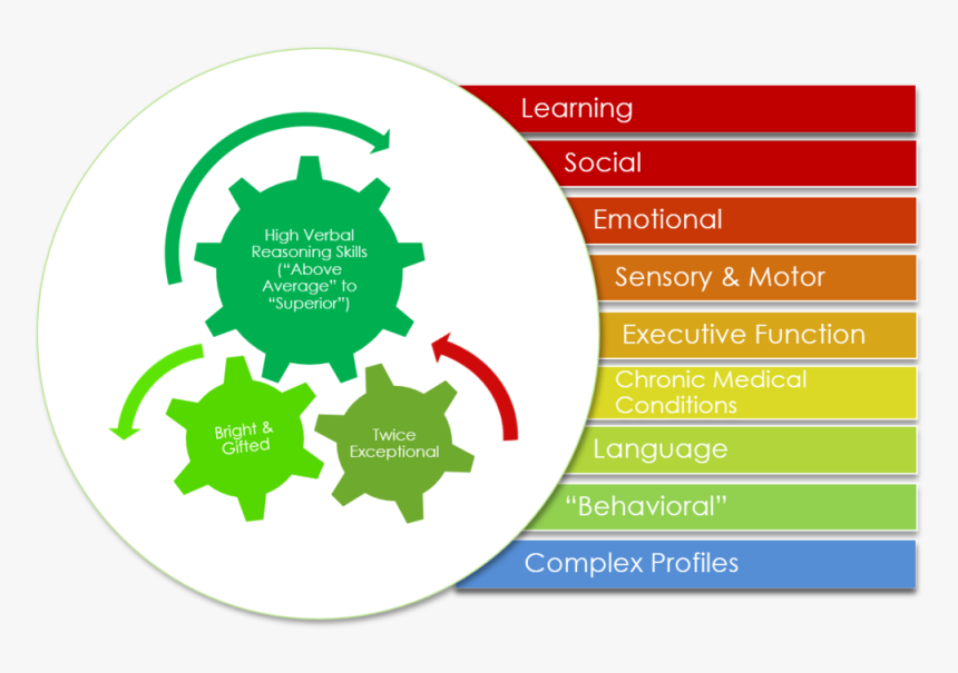 Cajal Academy Student Profiles - Converting Inputs To Outputs, HD Png Download, Free Download