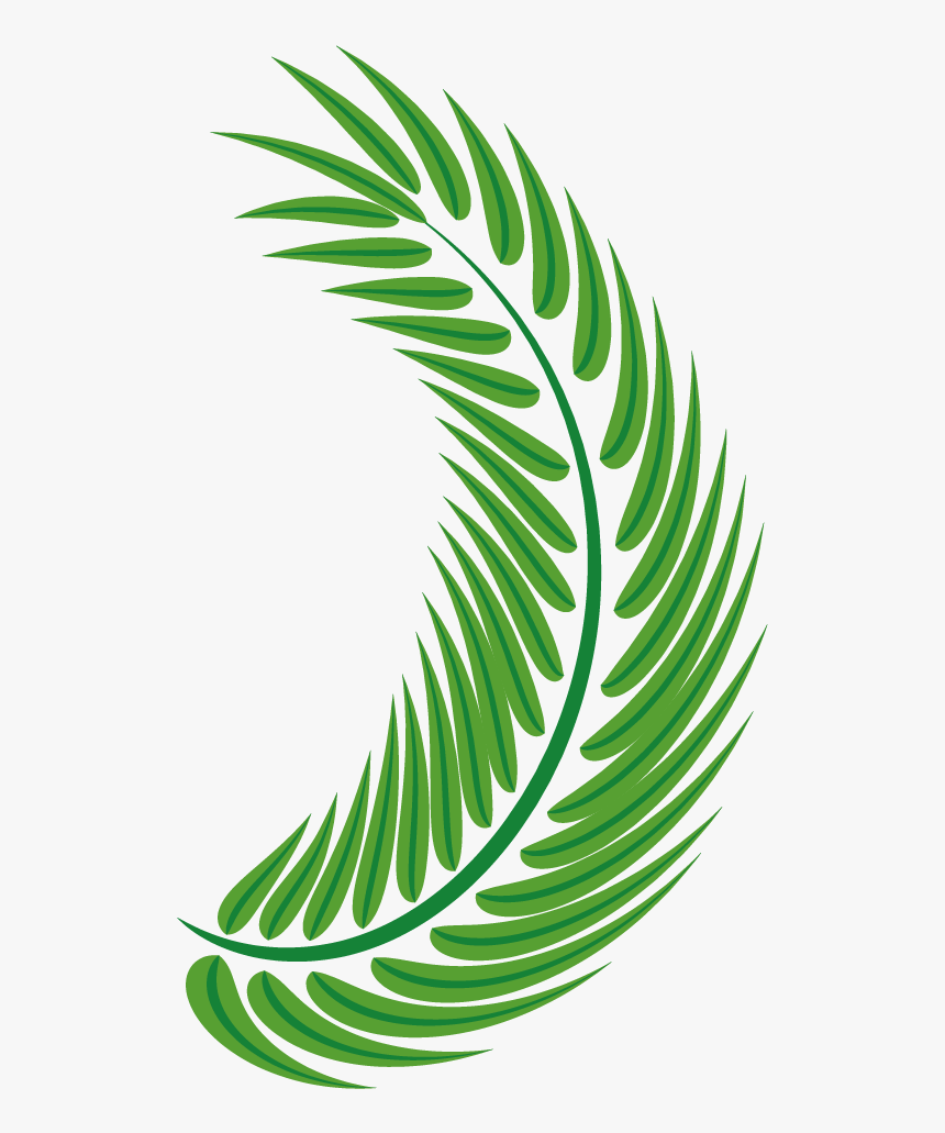 Transparent Palm Leaf Vector Png - Palm Trees, Png Download, Free Download