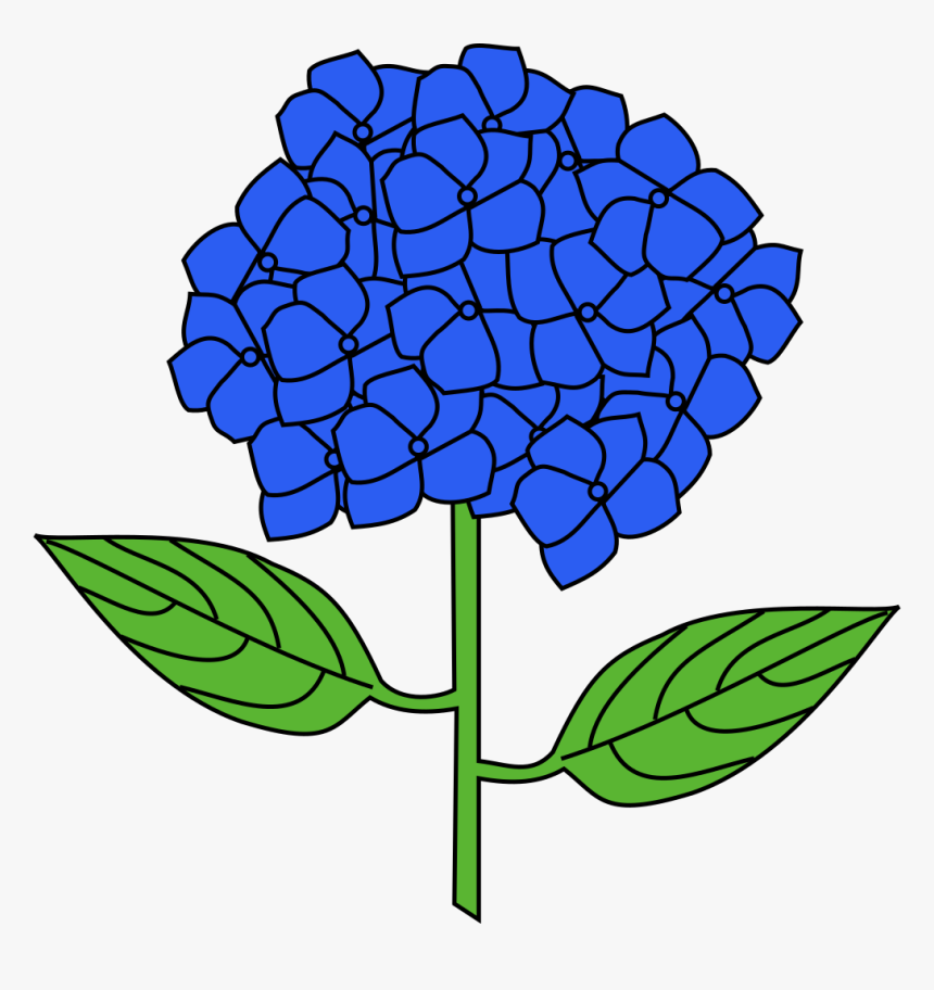 Hydrangea Clip Art - Hydrangea Clipart, HD Png Download, Free Download