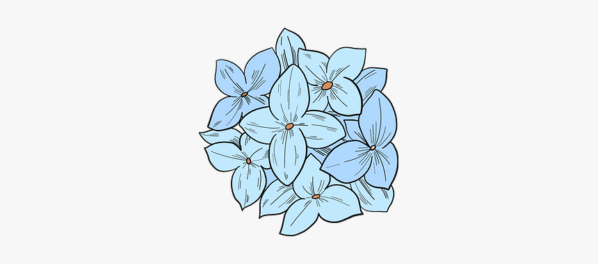 Hydrangea Clipart, HD Png Download, Free Download