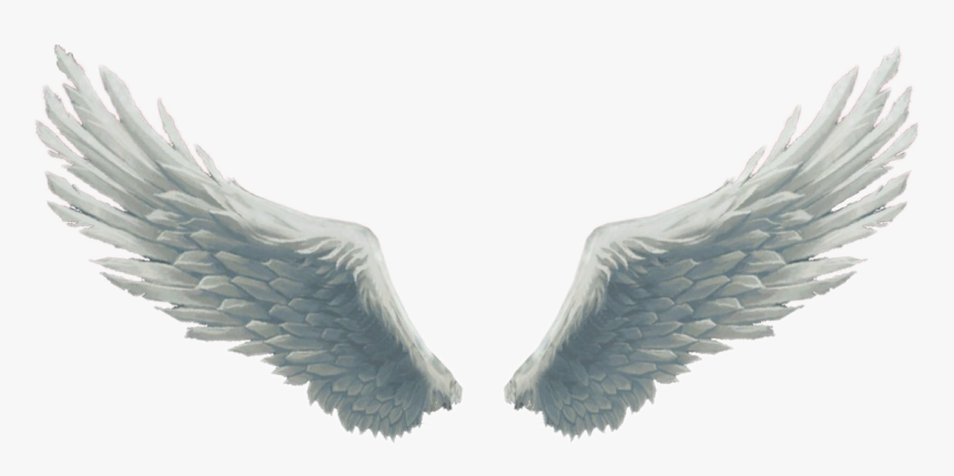 Wings Clipart Picsart - Angel Wings Png, Transparent Png, Free Download