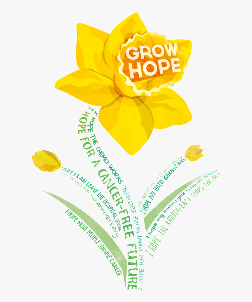 American Cancer Society Daffodil Days 2018, HD Png Download, Free Download