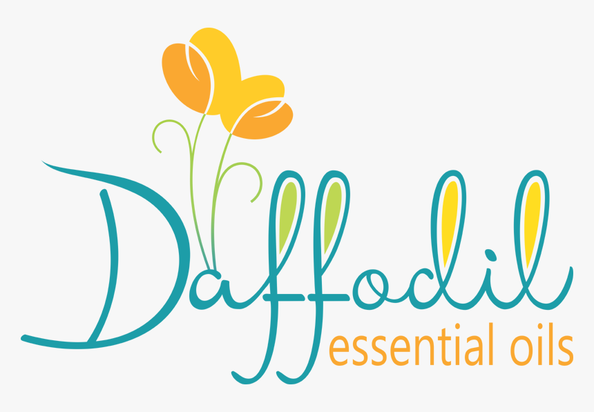 Daffodil Essential Oils - Calligraphy, HD Png Download, Free Download