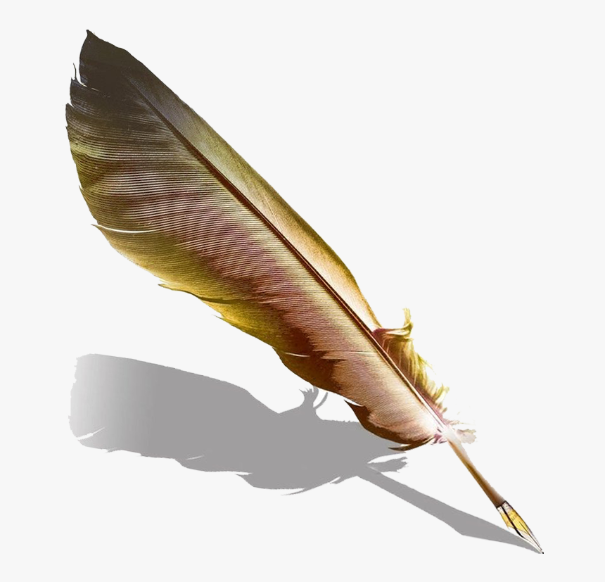 Pen Fountain Feather Quill Hd Image Free Png - Quill Feather Pen Png, Transparent Png, Free Download