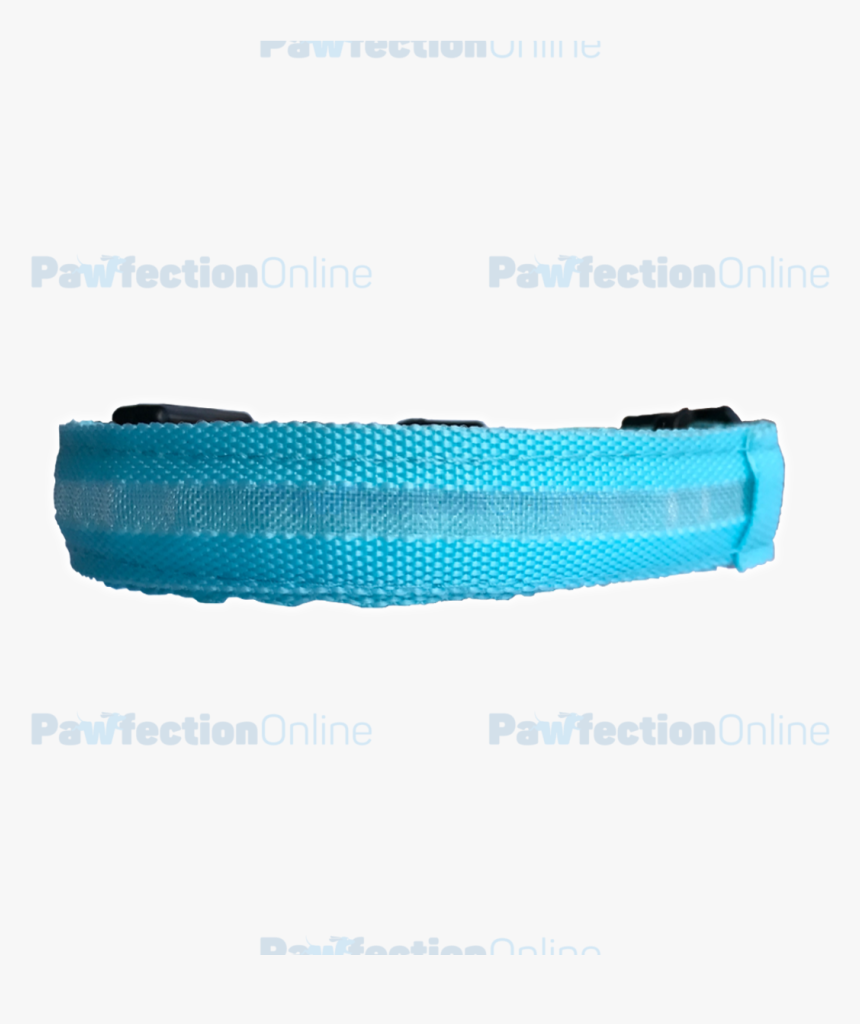 The Durable Nylon Blue Led Dog Collar Is Part Of The - Skipping Rope, HD Png Download, Free Download