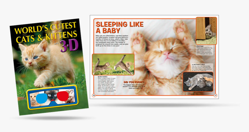 World"s Cutest Cats & Kittens In 3d , Png Download - Asian, Transparent Png, Free Download