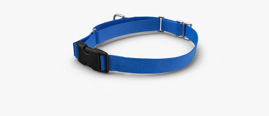 Dog Collar Png Pic - Collar And Leash Png, Transparent Png, Free Download