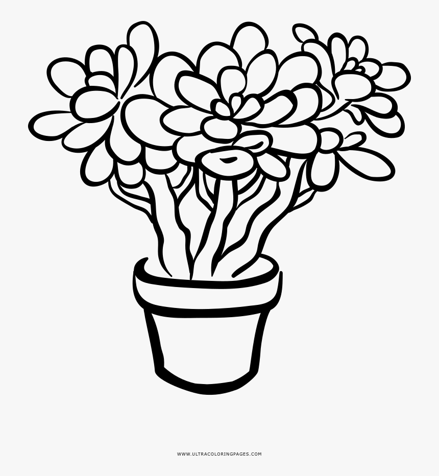 Succulent Houseplant Flower Coloring Page - Clip Art Plant Black And White, HD Png Download, Free Download