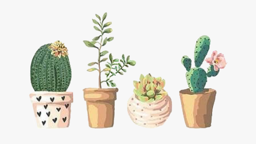 Fondo De Pantalla De Cactus, HD Png Download - kindpng