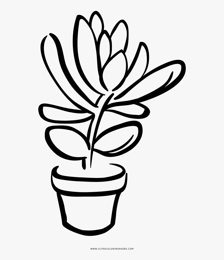 Succulent Coloring Page - Succulent Line Art, HD Png Download, Free Download