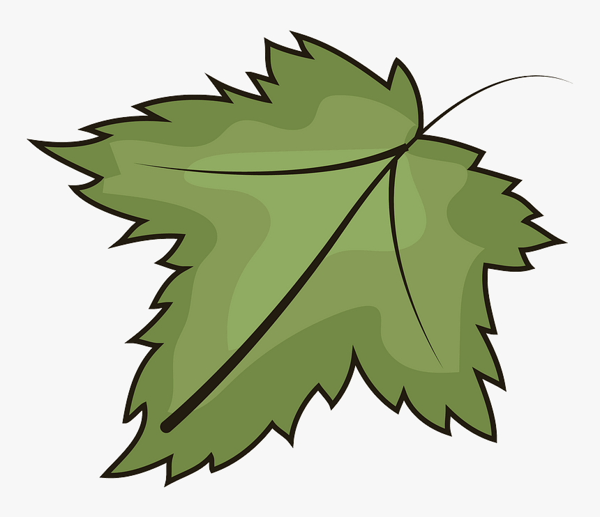 Leaf Clipart - Illustration, HD Png Download, Free Download