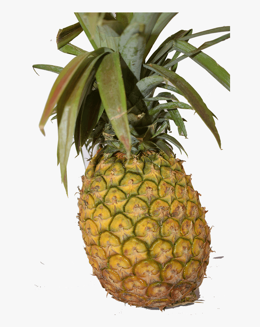 Pineapples Kenya, HD Png Download, Free Download