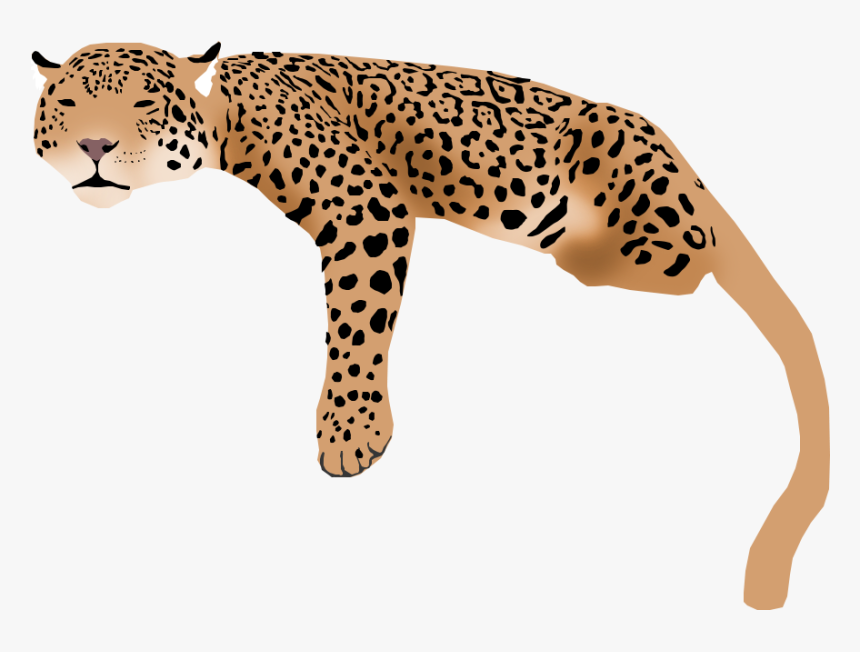 Jaguar Transparent Cartoon - Jaguar, HD Png Download, Free Download