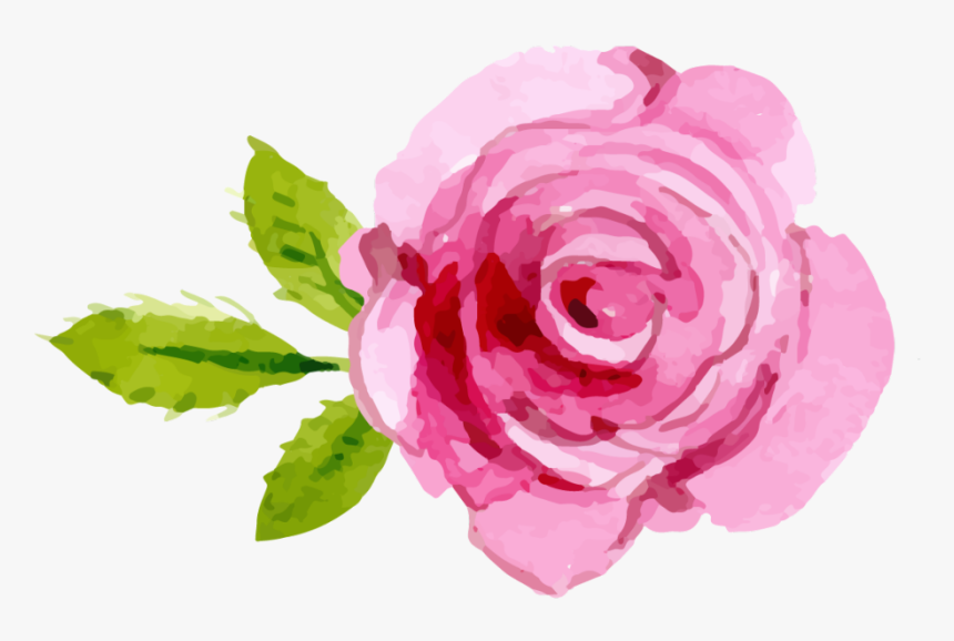 #pink #rose #tattoo - Watercolor Pink Roses Clipart, HD Png Download, Free Download