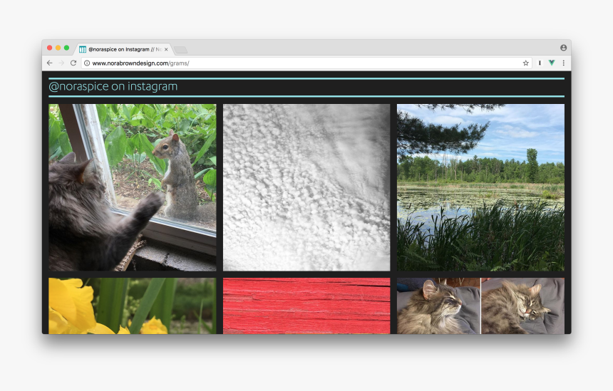Vue Js Gallery Image Grid, HD Png Download, Free Download