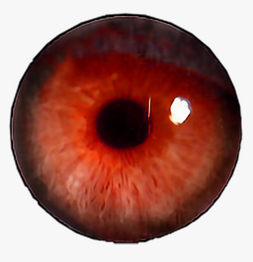 Eye Png Red - Transparent Red Eye Png, Png Download, Free Download