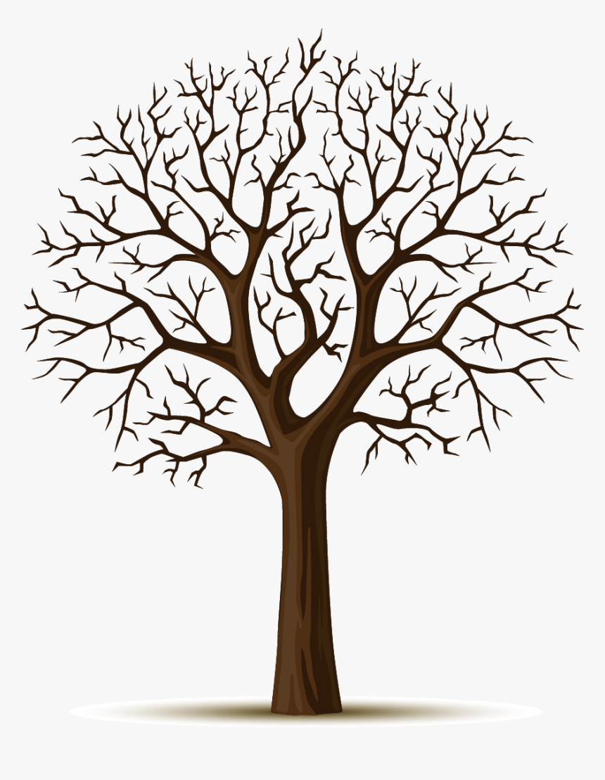 Wall Decal Tree Sticker - Nar Ağacı Çizimi, HD Png Download, Free Download