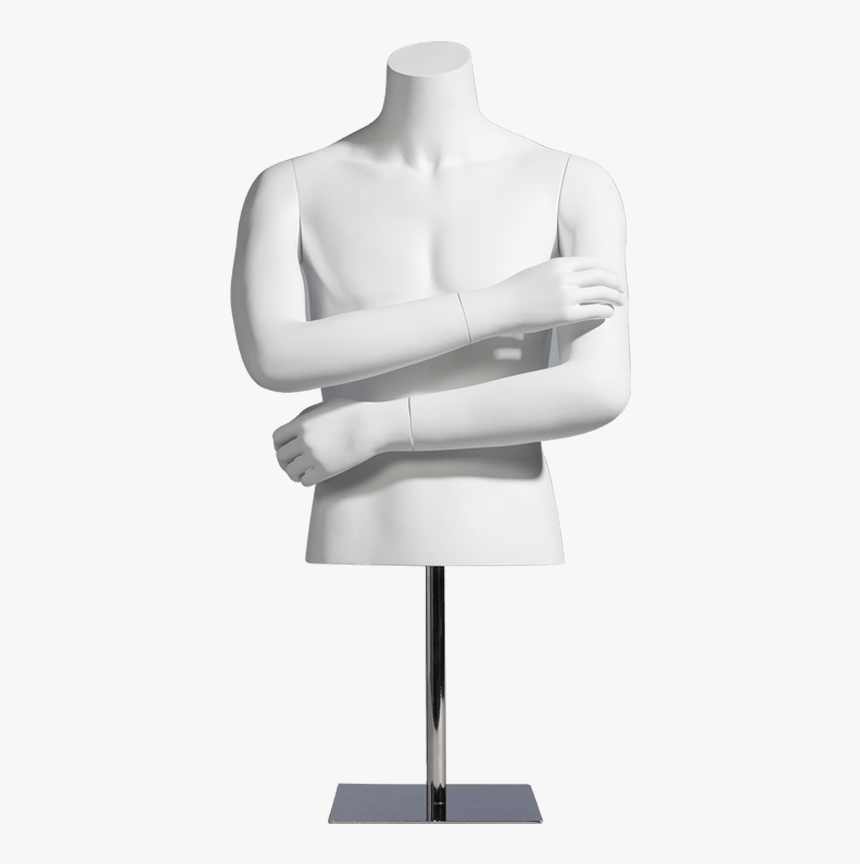 Half Mannequin / Male / Mcmf M0600 Half - Mannequin, HD Png Download, Free Download