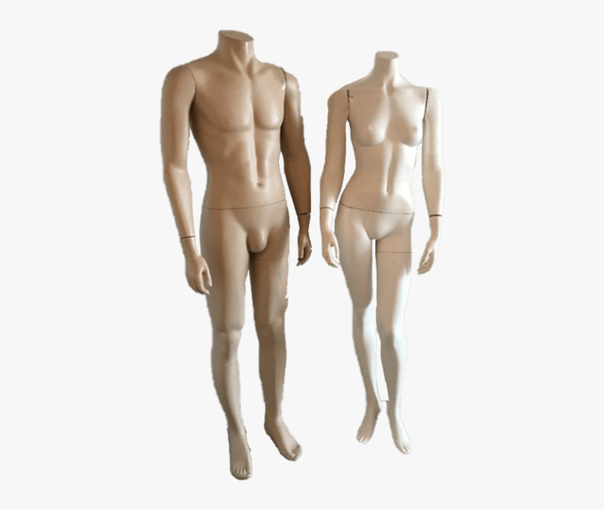 Mannequins - Mannequin, HD Png Download, Free Download