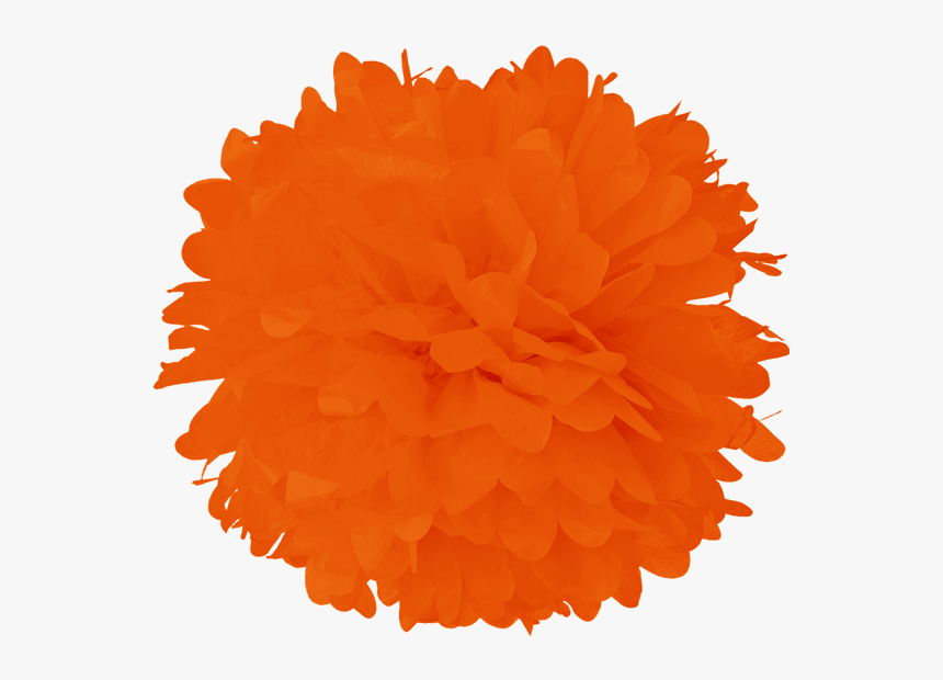 Tangerine Tissue Pom Poms - Red Pom Pom Clipart, HD Png Download, Free Download