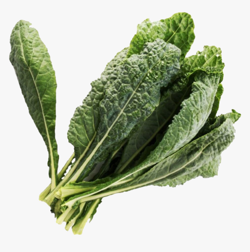 Vegetable Green Leaves Png Free Pic - Lacinato Kale, Transparent Png, Free Download