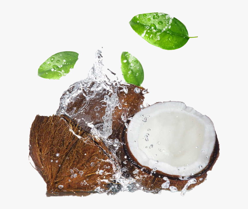 Coconut Water Splash Png Image - Coconut With Oil Drop, Transparent Png, Free Download
