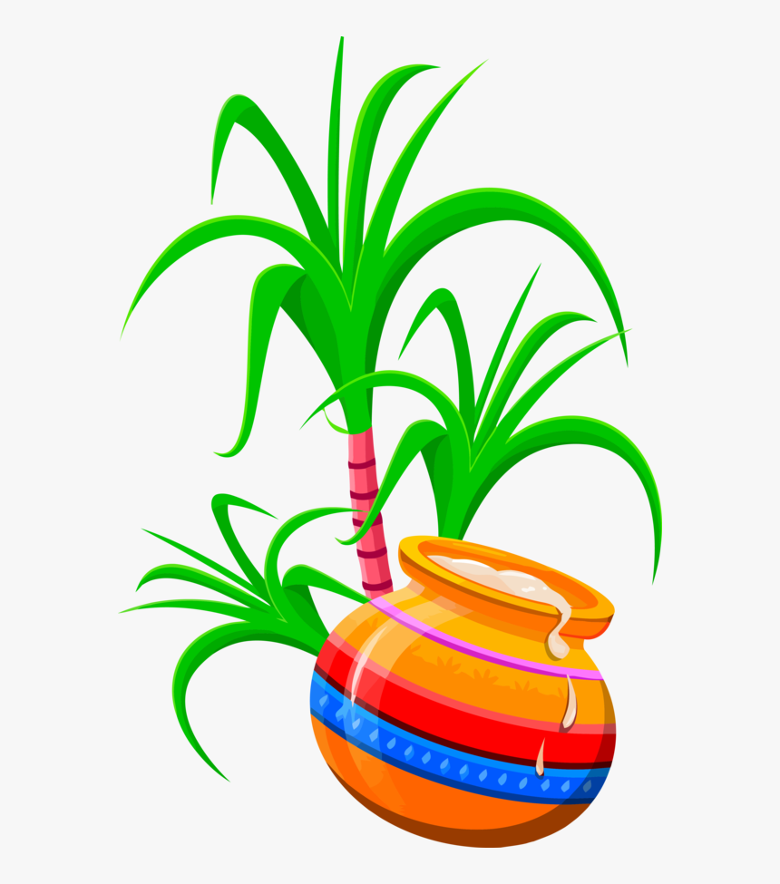 Transparent Pongal Houseplant Flowerpot Leaf For Thai - Happy Pongal Greeting Cards, HD Png Download, Free Download