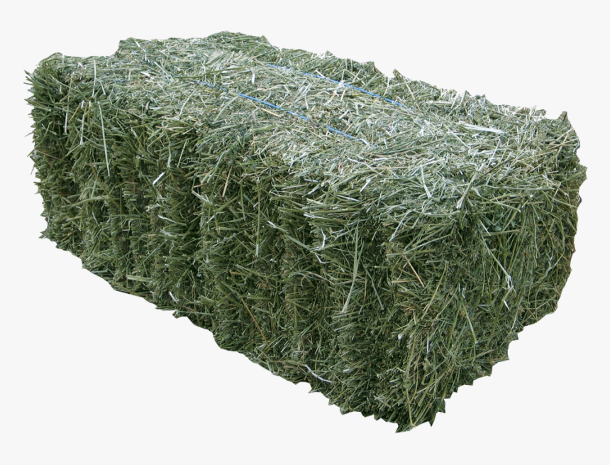 Bales Of Hay From A Farm Or Feed Store Are Incredibly - Grass Bale Png, Transparent Png, Free Download